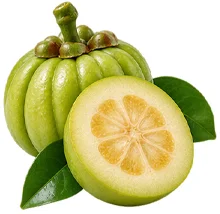 SlimAtika — Garcinia cambogia kivonat